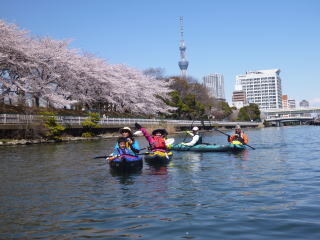 お花見桜カヌーとスカイツリー