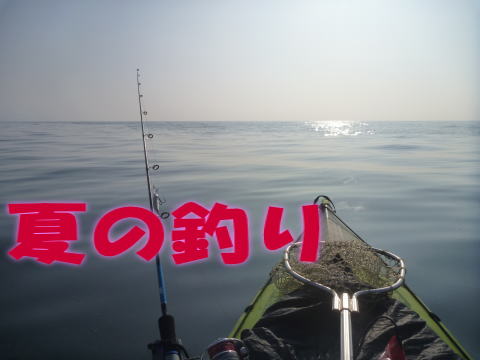 夏の釣り